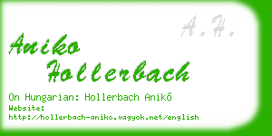 aniko hollerbach business card